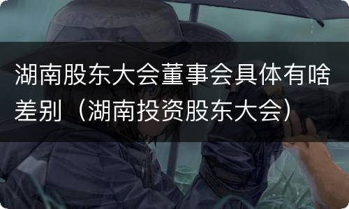 湖南股东大会董事会具体有啥差别（湖南投资股东大会）