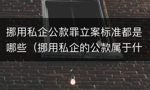 挪用私企公款罪立案标准都是哪些（挪用私企的公款属于什么罪）