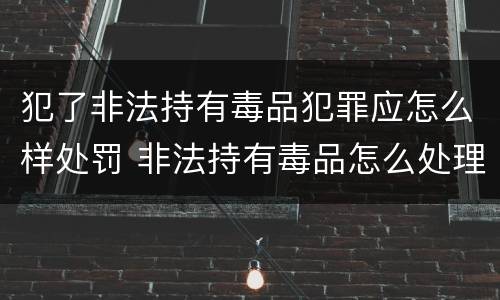 犯了非法持有毒品犯罪应怎么样处罚 非法持有毒品怎么处理