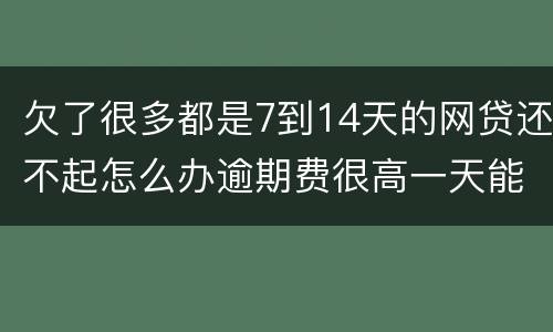 欠了很多都是7到14天的网贷还不起怎么办逾期费很高一天能张几百