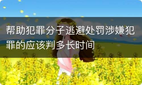 帮助犯罪分子逃避处罚涉嫌犯罪的应该判多长时间