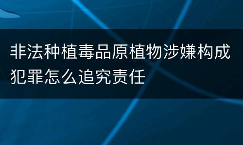 非法种植毒品原植物涉嫌构成犯罪怎么追究责任