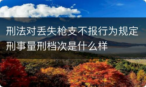 刑法对丢失枪支不报行为规定刑事量刑档次是什么样
