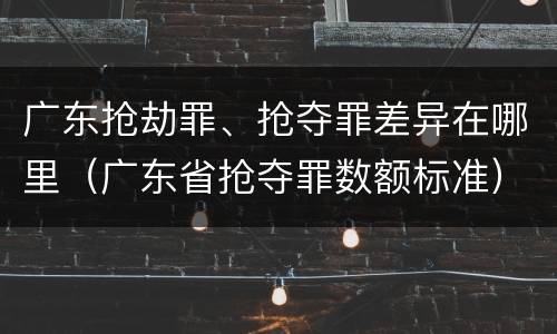 广东抢劫罪、抢夺罪差异在哪里（广东省抢夺罪数额标准）