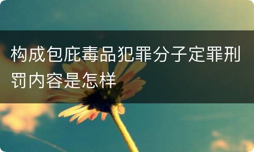 构成包庇毒品犯罪分子定罪刑罚内容是怎样