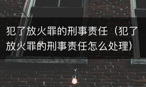 犯了放火罪的刑事责任（犯了放火罪的刑事责任怎么处理）