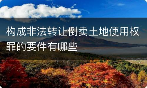构成非法转让倒卖土地使用权罪的要件有哪些