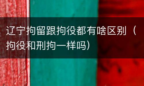 辽宁拘留跟拘役都有啥区别（拘役和刑拘一样吗）