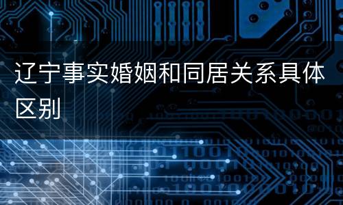 辽宁事实婚姻和同居关系具体区别