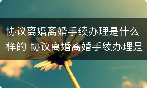协议离婚离婚手续办理是什么样的 协议离婚离婚手续办理是什么样的程序