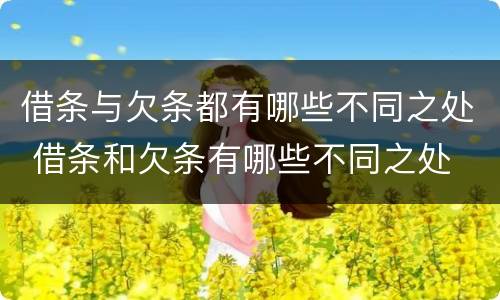 借条与欠条都有哪些不同之处 借条和欠条有哪些不同之处