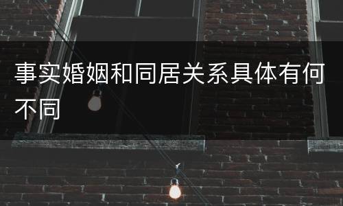 事实婚姻和同居关系具体有何不同