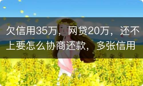 欠信用35万，网贷20万，还不上要怎么协商还款，多张信用卡