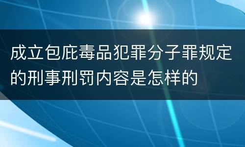 成立包庇毒品犯罪分子罪规定的刑事刑罚内容是怎样的