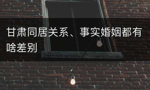 甘肃同居关系、事实婚姻都有啥差别