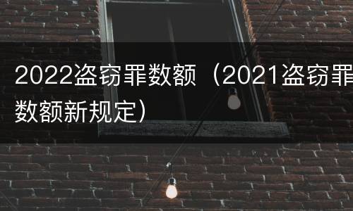 2022盗窃罪数额（2021盗窃罪数额新规定）