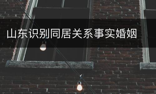山东识别同居关系事实婚姻