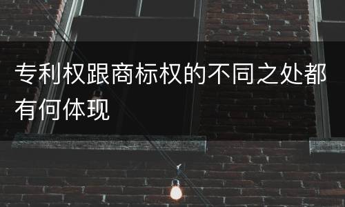 专利权跟商标权的不同之处都有何体现