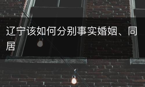 辽宁该如何分别事实婚姻、同居