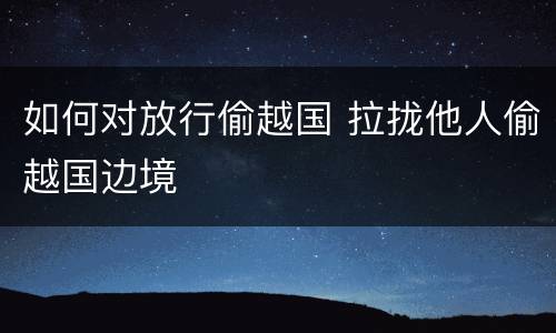 如何对放行偷越国 拉拢他人偷越国边境