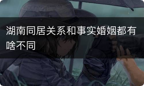湖南同居关系和事实婚姻都有啥不同