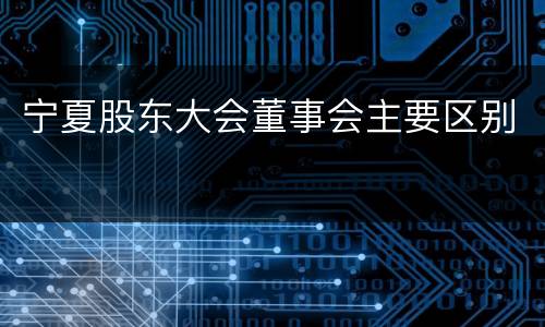 宁夏股东大会董事会主要区别