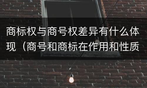 商标权与商号权差异有什么体现（商号和商标在作用和性质上的区别）
