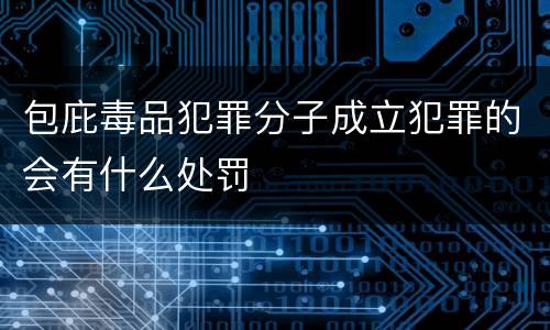 包庇毒品犯罪分子成立犯罪的会有什么处罚