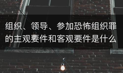 组织、领导、参加恐怖组织罪的主观要件和客观要件是什么