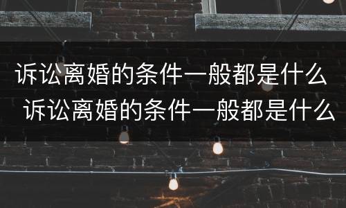 诉讼离婚的条件一般都是什么 诉讼离婚的条件一般都是什么呢