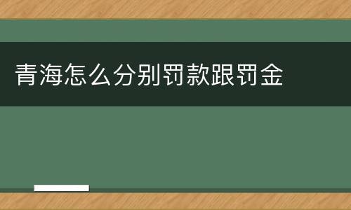 青海怎么分别罚款跟罚金