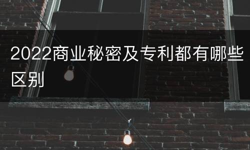 2022商业秘密及专利都有哪些区别