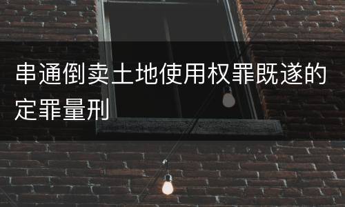 串通倒卖土地使用权罪既遂的定罪量刑
