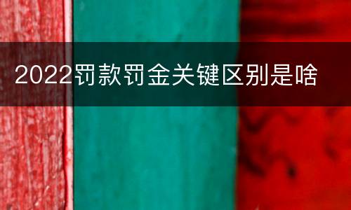 2022罚款罚金关键区别是啥