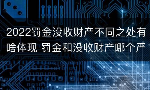2022罚金没收财产不同之处有啥体现 罚金和没收财产哪个严重