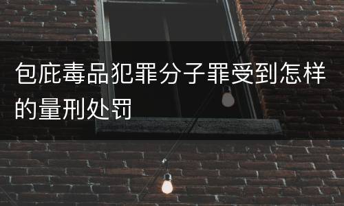 包庇毒品犯罪分子罪受到怎样的量刑处罚