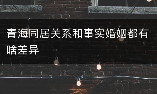 青海同居关系和事实婚姻都有啥差异