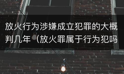 放火行为涉嫌成立犯罪的大概判几年（放火罪属于行为犯吗）