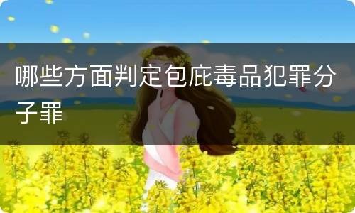 哪些方面判定包庇毒品犯罪分子罪