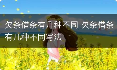 欠条借条有几种不同 欠条借条有几种不同写法