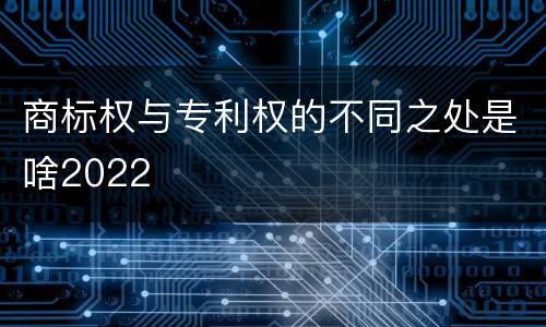 商标权与专利权的不同之处是啥2022