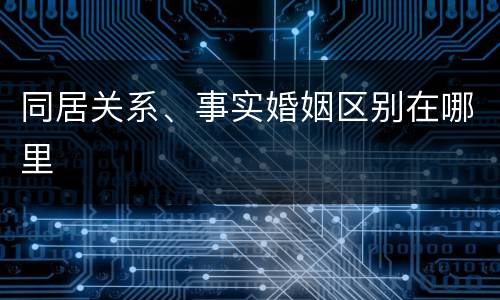 同居关系、事实婚姻区别在哪里