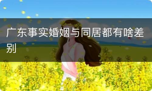 广东事实婚姻与同居都有啥差别