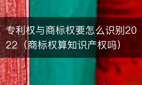 专利权与商标权要怎么识别2022（商标权算知识产权吗）