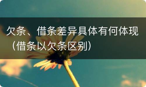 欠条、借条差异具体有何体现（借条以欠条区别）