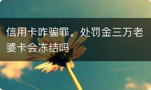 信用卡咋骗罪。处罚金三万老婆卡会冻结吗