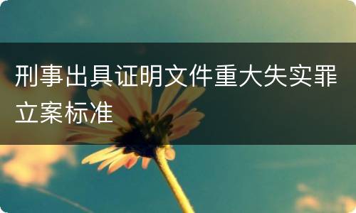 刑事出具证明文件重大失实罪立案标准