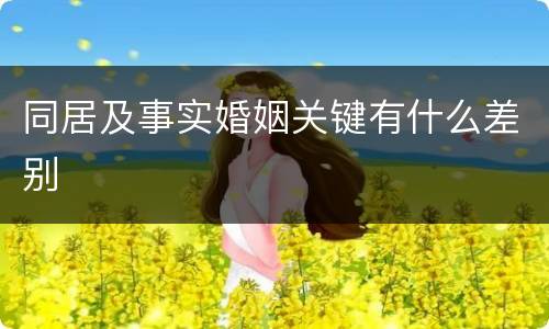 同居及事实婚姻关键有什么差别