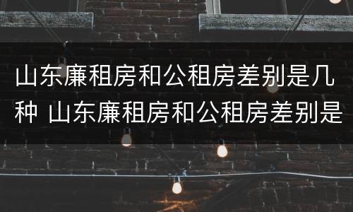 山东廉租房和公租房差别是几种 山东廉租房和公租房差别是几种类型
