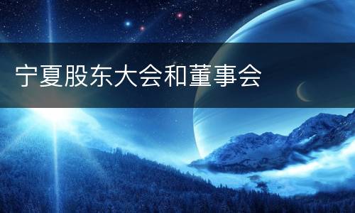 宁夏股东大会和董事会